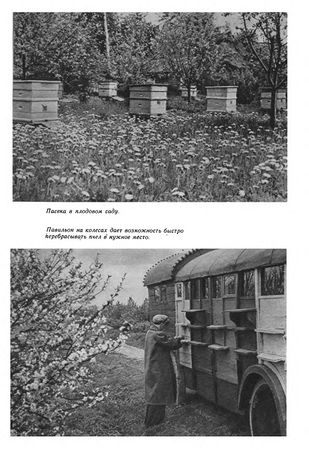 Иосиф Халифман - Пароль скрещенных антенн