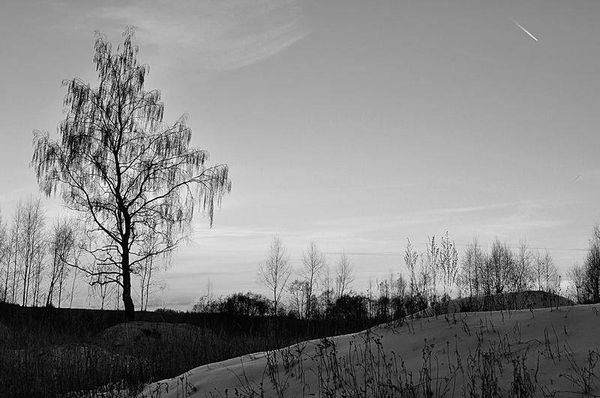 Олег Ермаков - Вокруг света