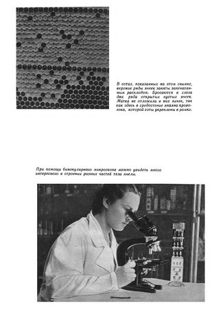 Иосиф Халифман - Пароль скрещенных антенн