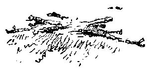 Борьба за огонь. Доисторический роман