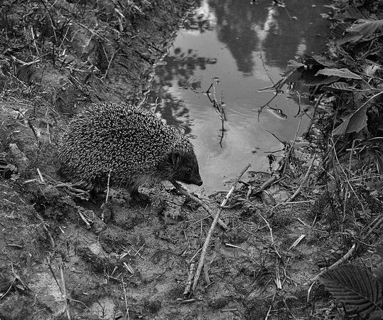 Олег Ермаков - Вокруг света