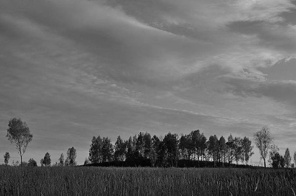 Олег Ермаков - Вокруг света