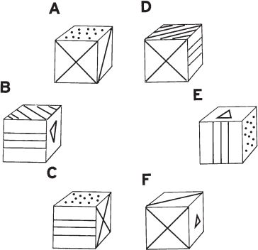 Линда Холмс - Шерлок Холмс. 5 минут на расследование