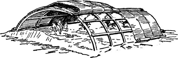 Павел Штейнберг - Как вырастить отличный урожай овощей и бахчевых. Рецепты,...