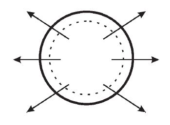 Вячеслав Гусев - Средство от бедности