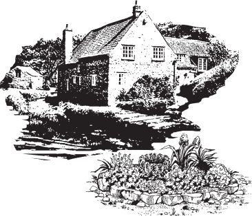 Линда Холмс - Шерлок Холмс. 5 минут на расследование