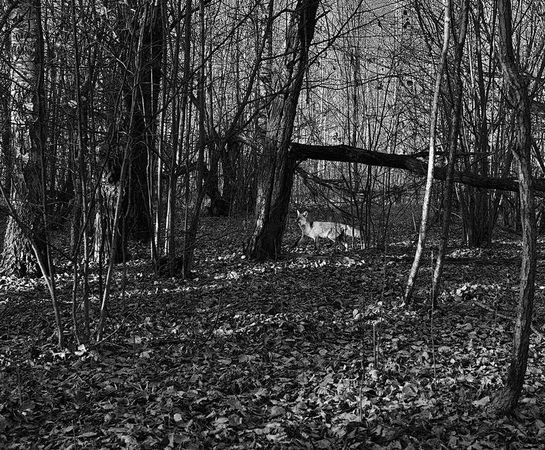 Олег Ермаков - Вокруг света