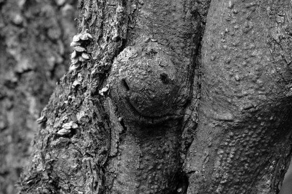 Олег Ермаков - Вокруг света