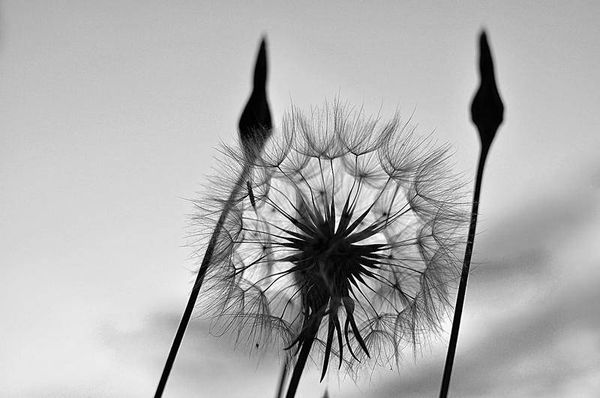 Олег Ермаков - Вокруг света