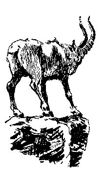 Вахтанг Ананян - Пленники Барсова ущелья (илл. А. Лурье) 1956г