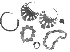 Нина Молева - От Великой княгини до Императрицы. Женщины царствующего дома