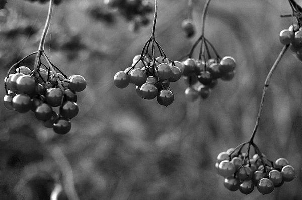 Олег Ермаков - Вокруг света