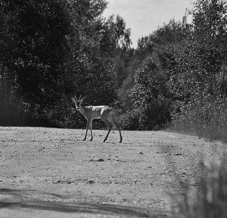 Олег Ермаков - Вокруг света