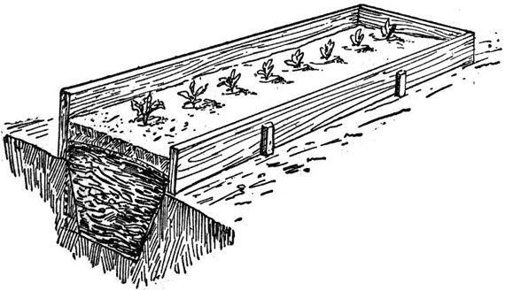 Павел Штейнберг - Как вырастить отличный урожай овощей и бахчевых. Рецепты,...