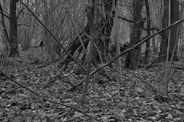 Олег Ермаков - Вокруг света