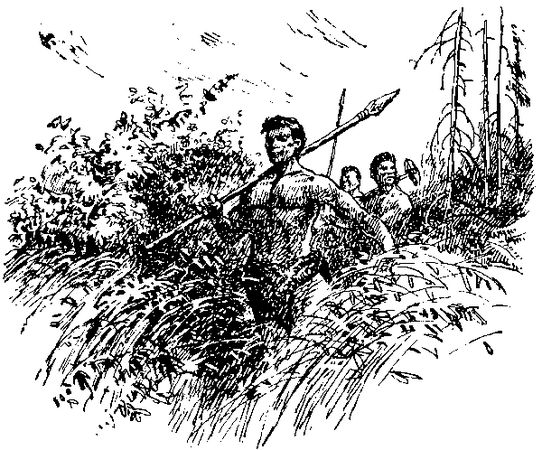 Жозеф Рони-старший - Борьба за огонь. Доисторический роман