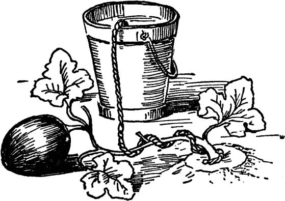 Павел Штейнберг - Как вырастить отличный урожай овощей и бахчевых. Рецепты,...