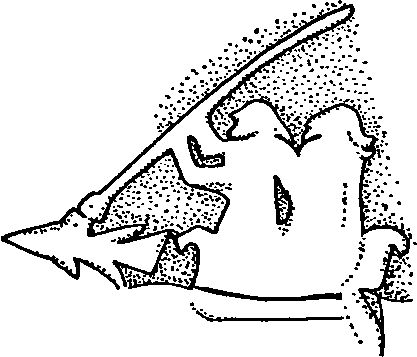 Жаклин Симпсон - Викинги. Быт, религия, культура