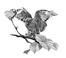 Александр Лапин - Вихри перемен