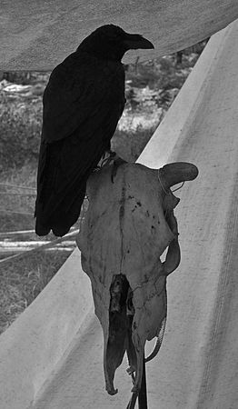 Олег Ермаков - Вокруг света