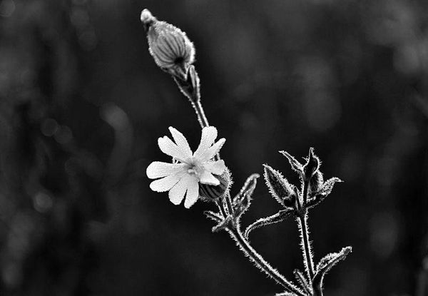 Олег Ермаков - Вокруг света