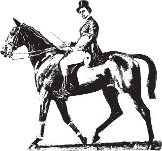 Линда Холмс - Шерлок Холмс. 5 минут на расследование