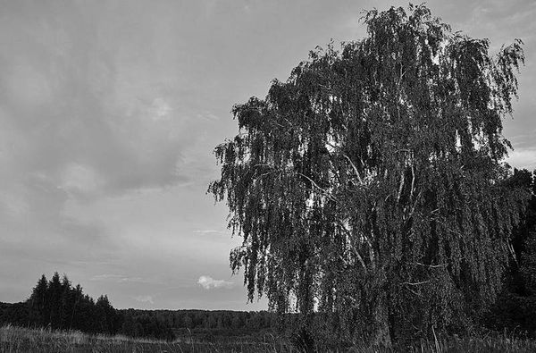 Олег Ермаков - Вокруг света