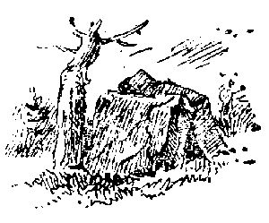 Жозеф Рони-старший - Борьба за огонь. Доисторический роман