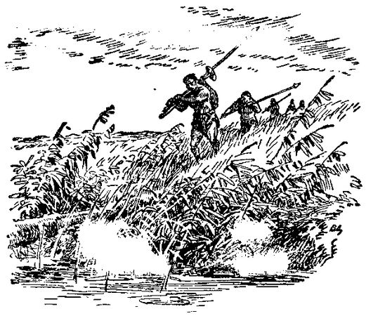 Жозеф Рони-старший - Борьба за огонь. Доисторический роман