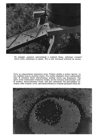 Иосиф Халифман - Пароль скрещенных антенн