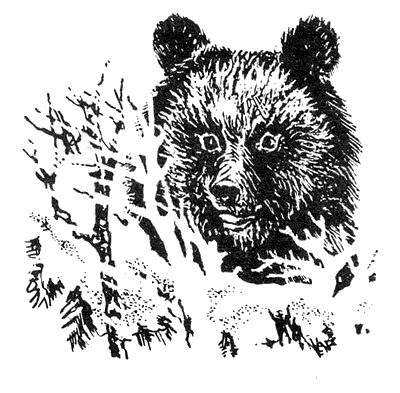 Станислав Олефир - В краю танцующих хариусов. Роска