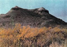 Тропинки в загадочный мир