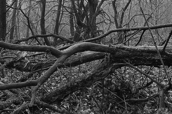 Олег Ермаков - Вокруг света