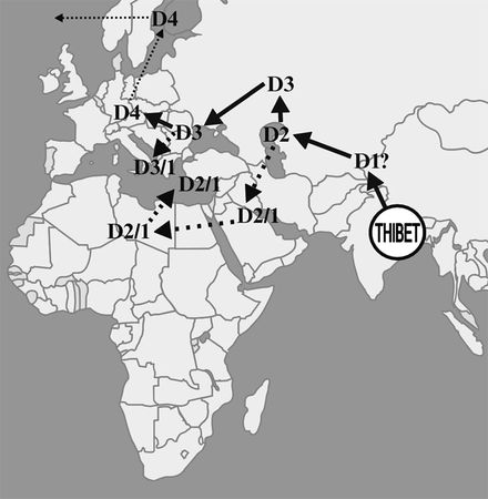 Эрнст Мулдашев - От кого мы произошли?