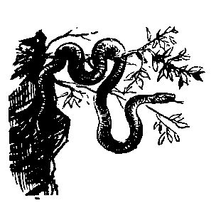 Вахтанг Ананян - Пленники Барсова ущелья (илл. А. Лурье) 1956г