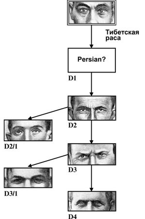 Эрнст Мулдашев - От кого мы произошли?