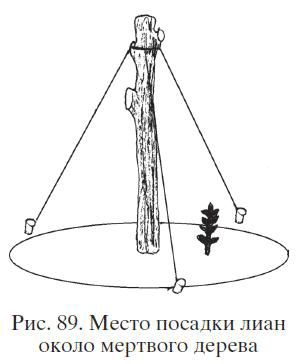 Николай Звонарев - Садово-огородные хитрости. Постройки и инвентарь