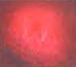 Олег Фейгин - Никола Тесла - повелитель молний. Научное расследование...