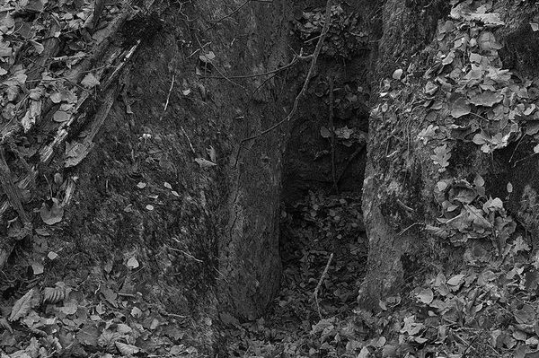 Олег Ермаков - Вокруг света