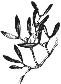 Агафья Звонарева - Лучшие народные лекарства