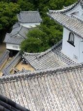 Алексей Вязовский - Сэнгоку Дзидай