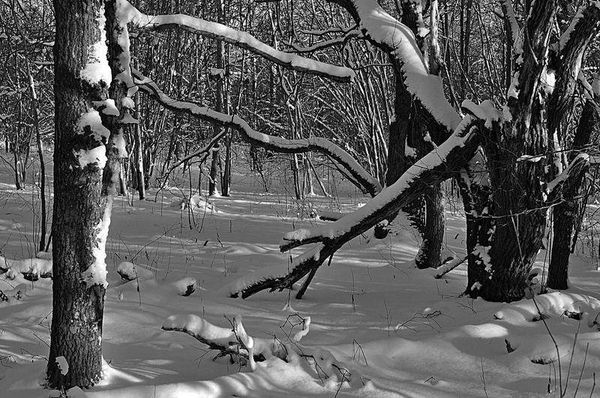Олег Ермаков - Вокруг света