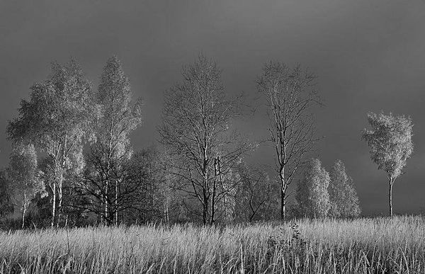 Олег Ермаков - Вокруг света