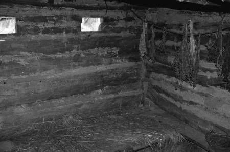 Сергей Алексеев - Славянская Европа V-VIII веков