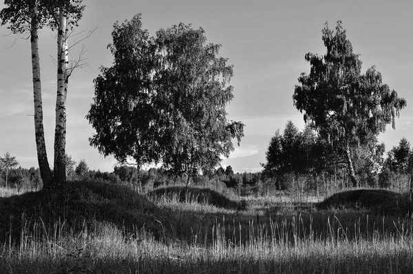 Олег Ермаков - Вокруг света