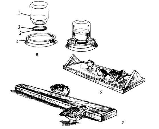 Юрий Пернатьев - Разведение и выращивание индюков, перепелок и цесарок