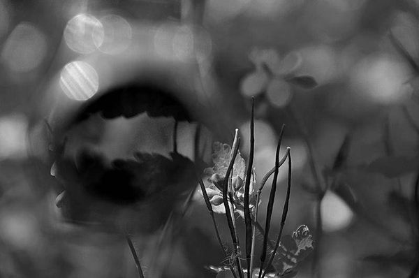 Олег Ермаков - Вокруг света