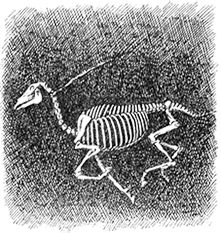 Рэй Брэдбери, Стефан Цвейг и др. - Страх