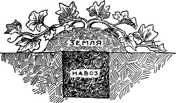 Павел Штейнберг - Как вырастить отличный урожай овощей и бахчевых. Рецепты,...