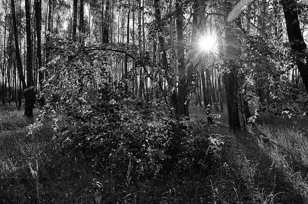 Олег Ермаков - Вокруг света